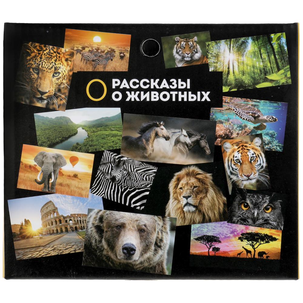 Игрушка пластизоль динозавр цератозавр 16*6,2*4см, инд. дисплей ТМ "ИГРАЕМ ВМЕСТЕ" в кор.2*90шт