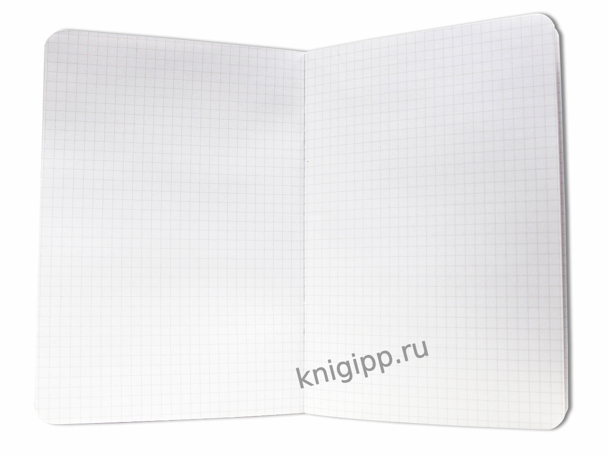 Gatto Rosso. Блокнот в клетку My notebook. ТАИНСТВЕННОСТЬ