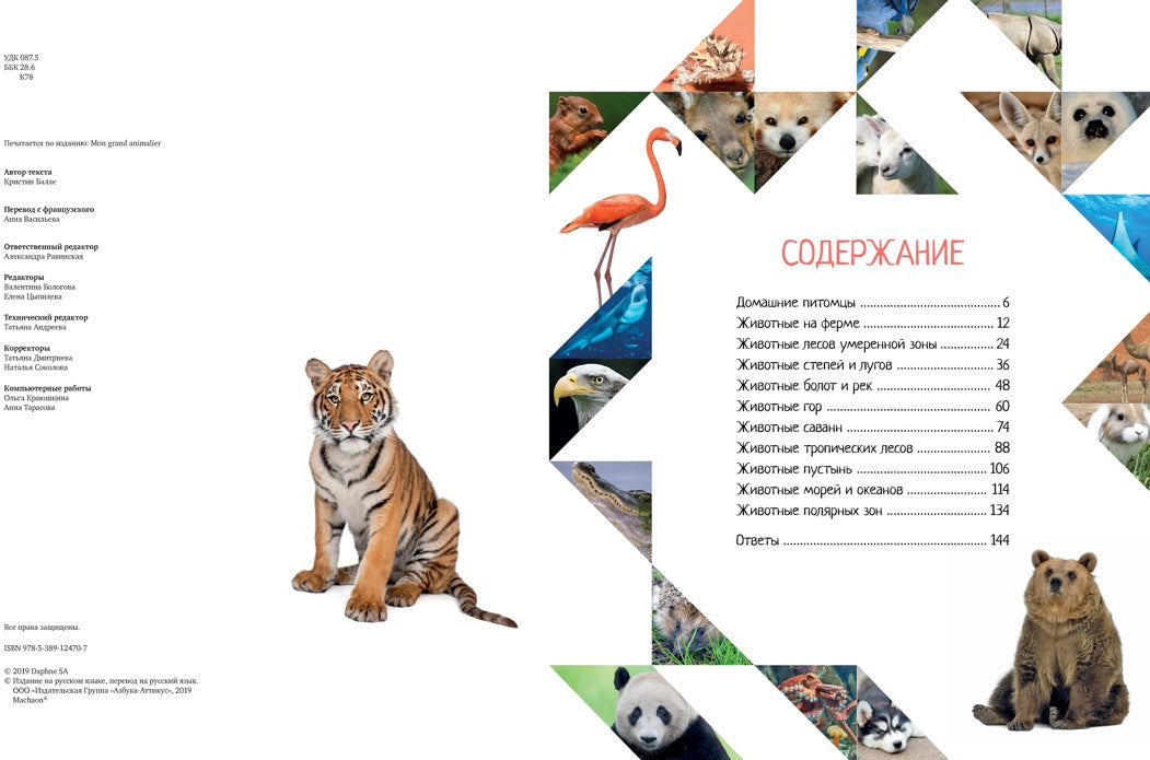 Красочный мир животных