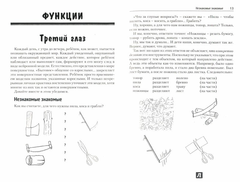 Третий глаз или как развить системно-функциональное мышление вашего ребенка