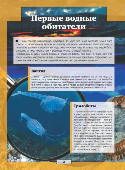 Подводный мир