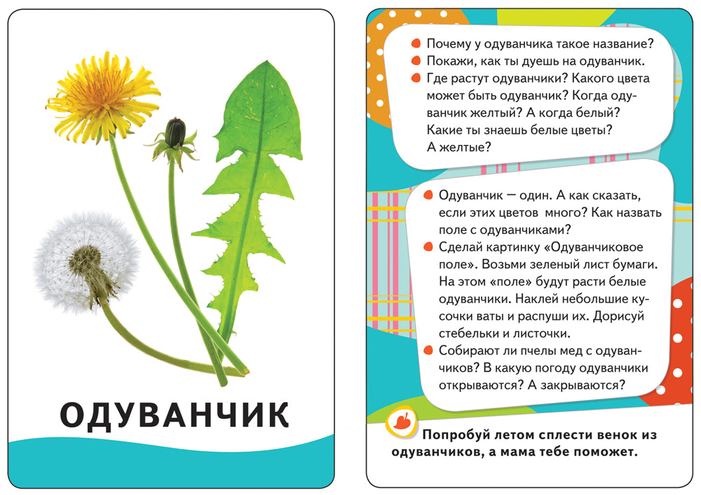 Живой мир (Разв. карточки 0+)