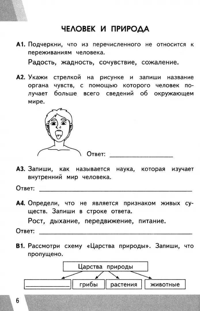 Окружающий мир. 3 класс. Контрольные измерительные материалы. Всероссийская проверочная работа