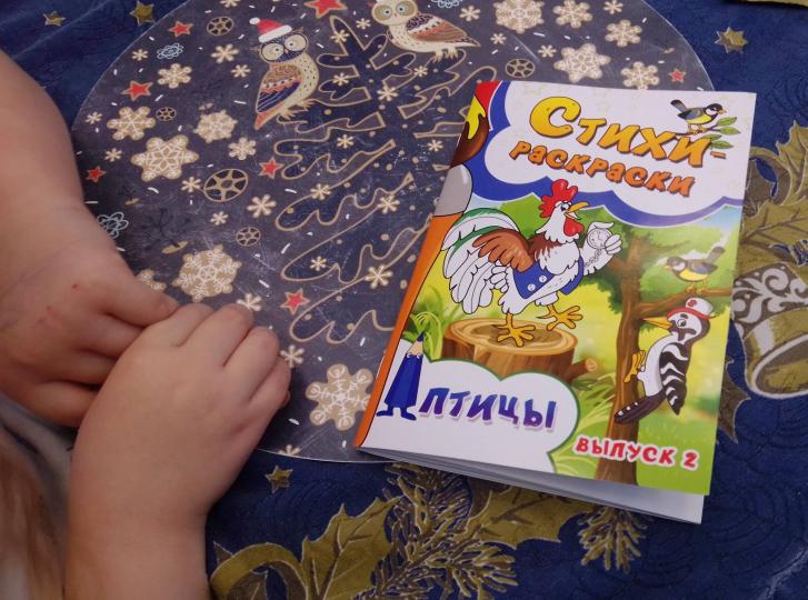Стихи-раскраски. Птицы. Выпуск 2