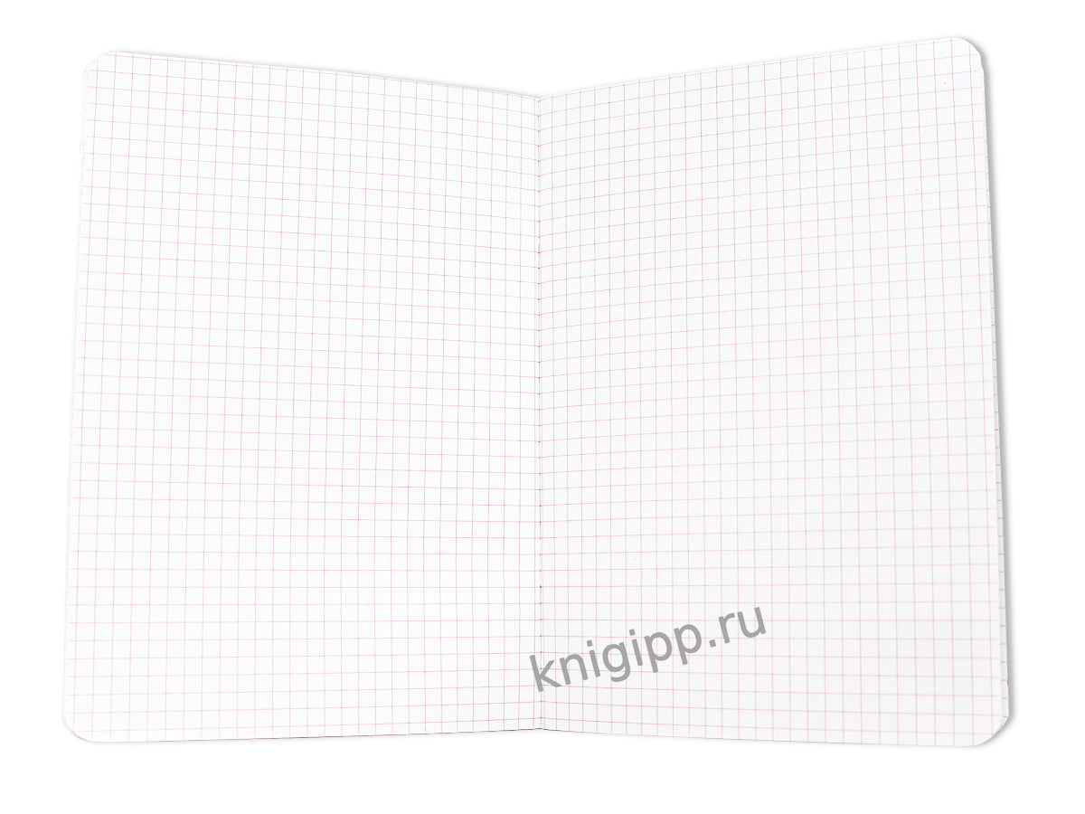 MyArt. БЛОКНОТ в клетку My notebook. Кошка