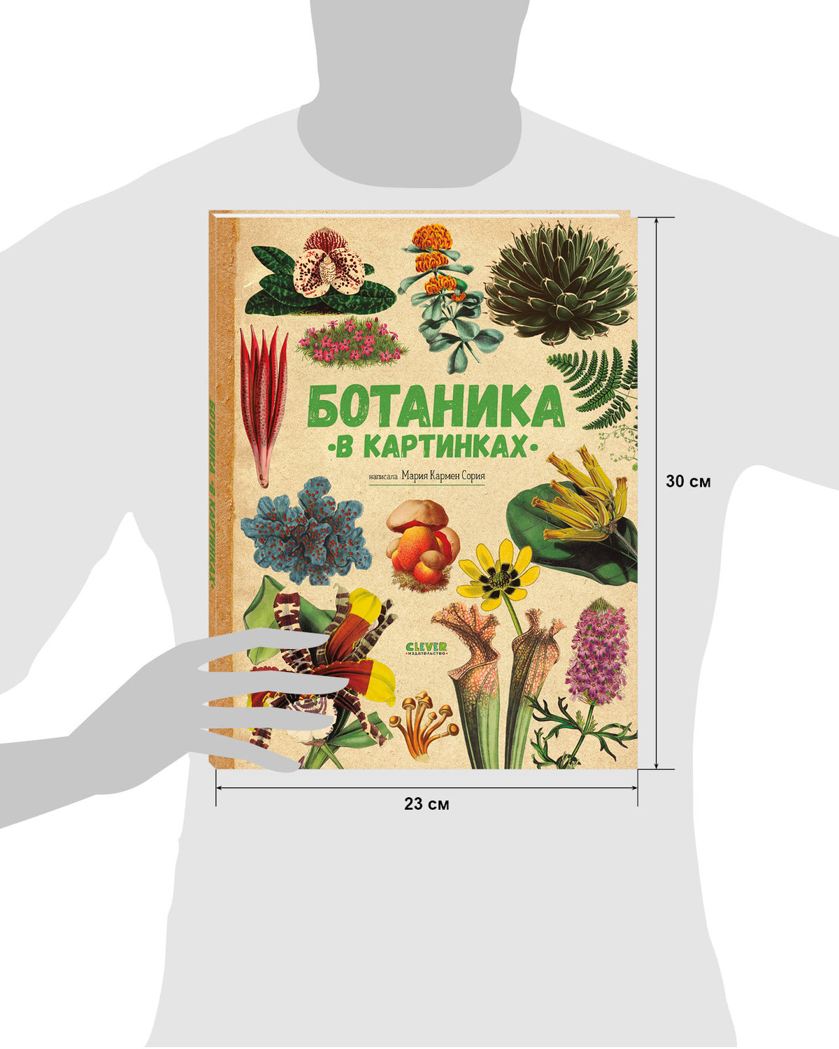 Удивительные энциклопедии. Ботаника в картинках/Сория К.