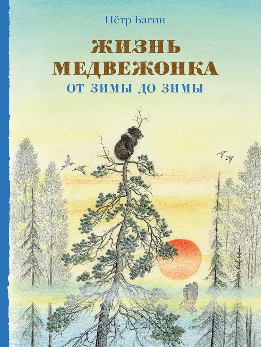 Жизнь медвежонка от зимы до зимы: рассказ картинках