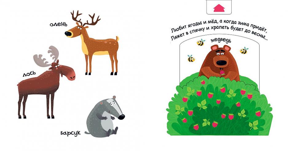 Кто живет в лесу