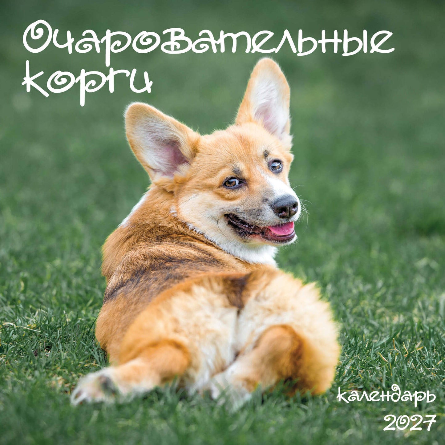 Очаровательные корги. Календарь настенный на 2027 год (300х300 мм)