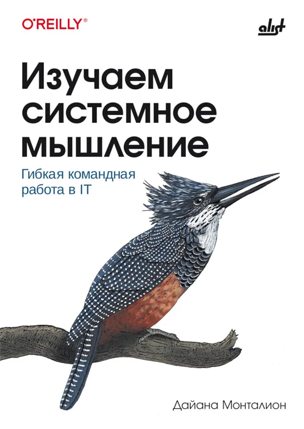 Изучаем системное мышление. Гибкая командная работа в IT