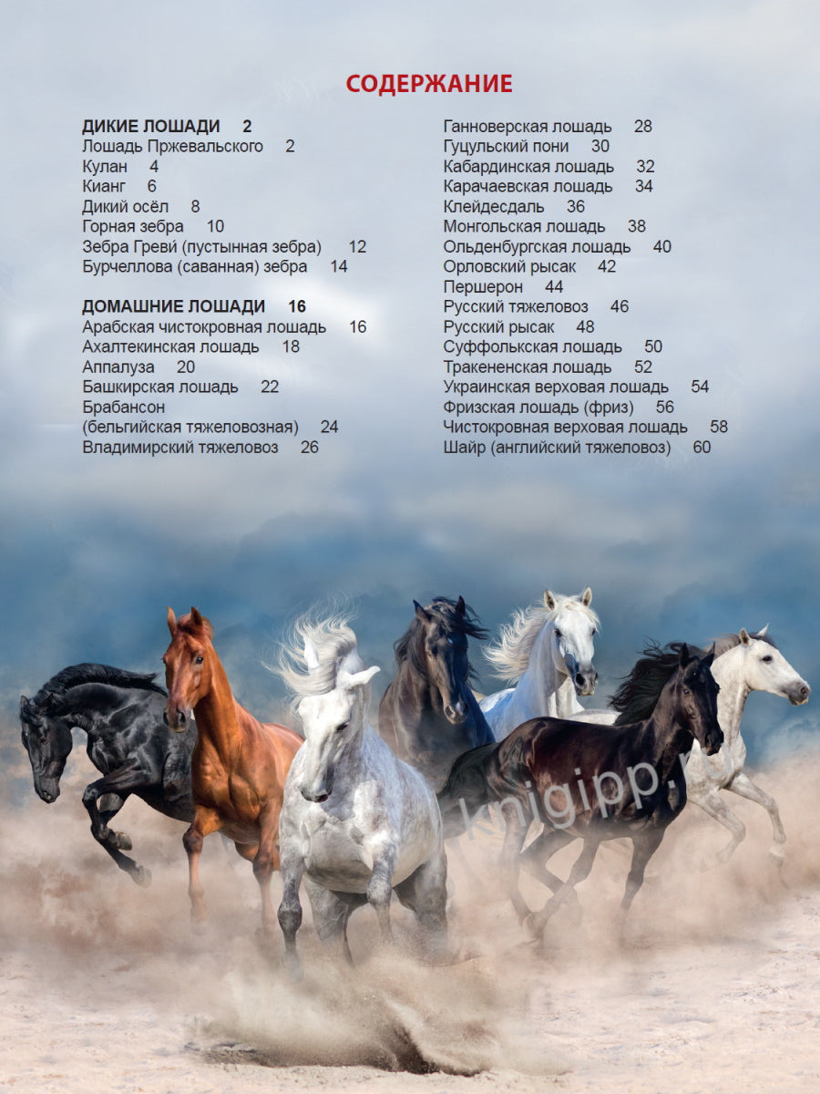 ЭНЦИКЛОПЕДИЯ ДЛЯ ДЕТЕЙ новые. ЛОШАДИ