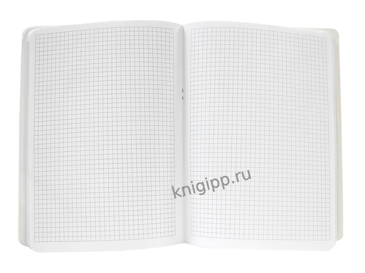 MyArt. БЛОКНОТ в клетку My big notebook. Девочка в наушниках