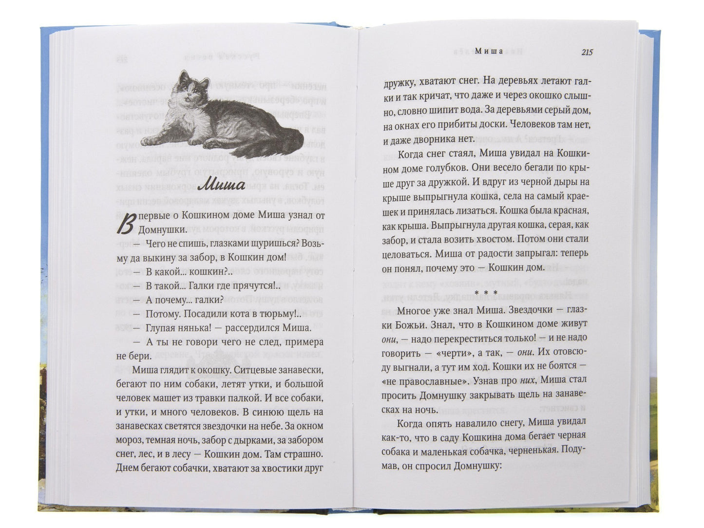 Еловые лапы: рассказы и сказки для детей