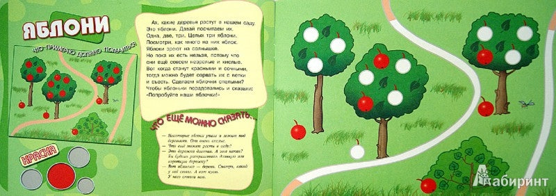 В саду