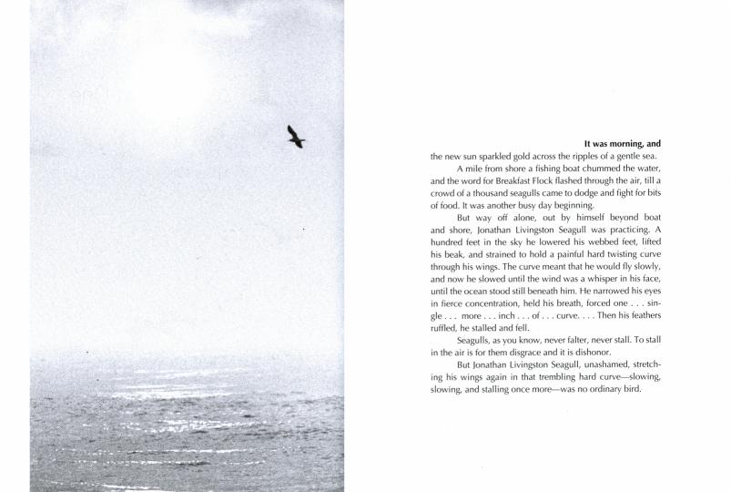 Jonathan Livingston Seagull : A Story