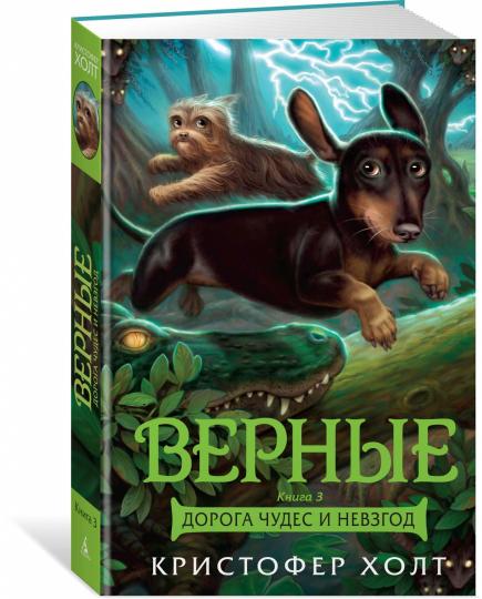 Верные. Книга 3. Дорога чудес и невзгод