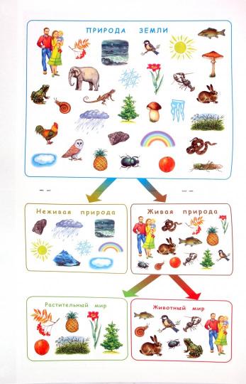 Узнаю мир 6-8лет. Развив. книга для детей