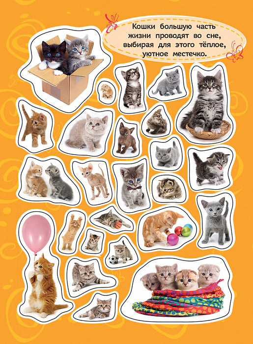 100 наклеек. Котята
