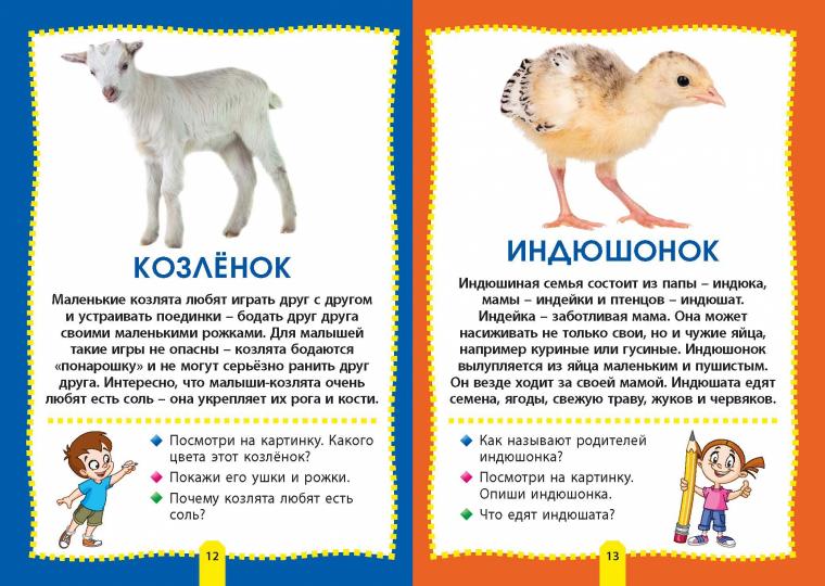 Детёныши животных. Фотокнига для самых маленьких
