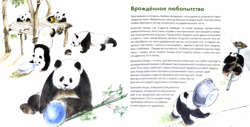 Вау! Панда!