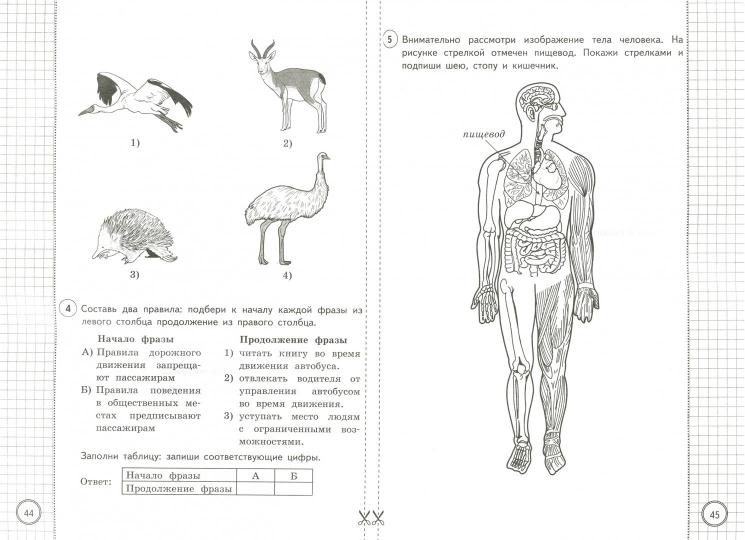ВПР Окружающий мир 4 класс. Типовые задания. 25 вариантов СтатГрад ФИОКО