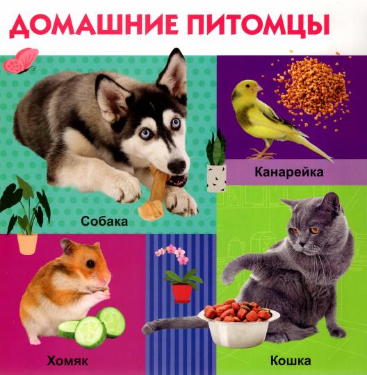Твои любимые книжки. Животные. Кто что ест