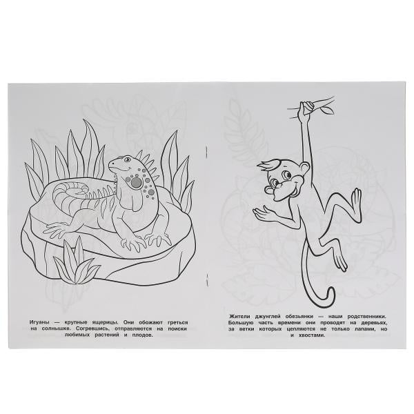 Тропические животные. Первая раскраска А4 с голографической фольгой. 16 стр. Умка в кор.50шт