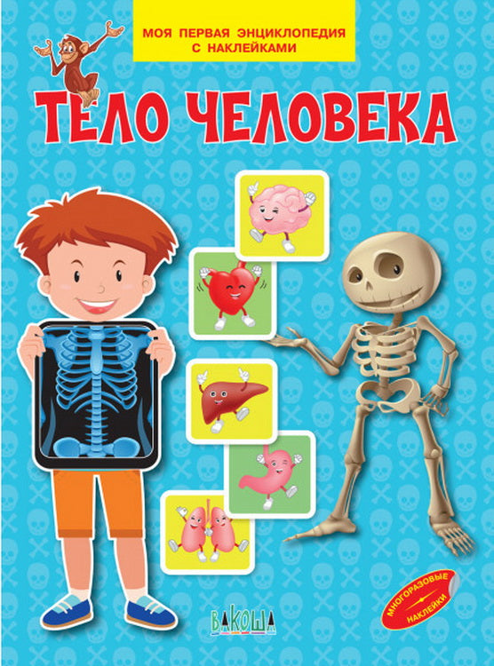 МПЭН Тело человека. Моя первая энциклопедия с наклейками