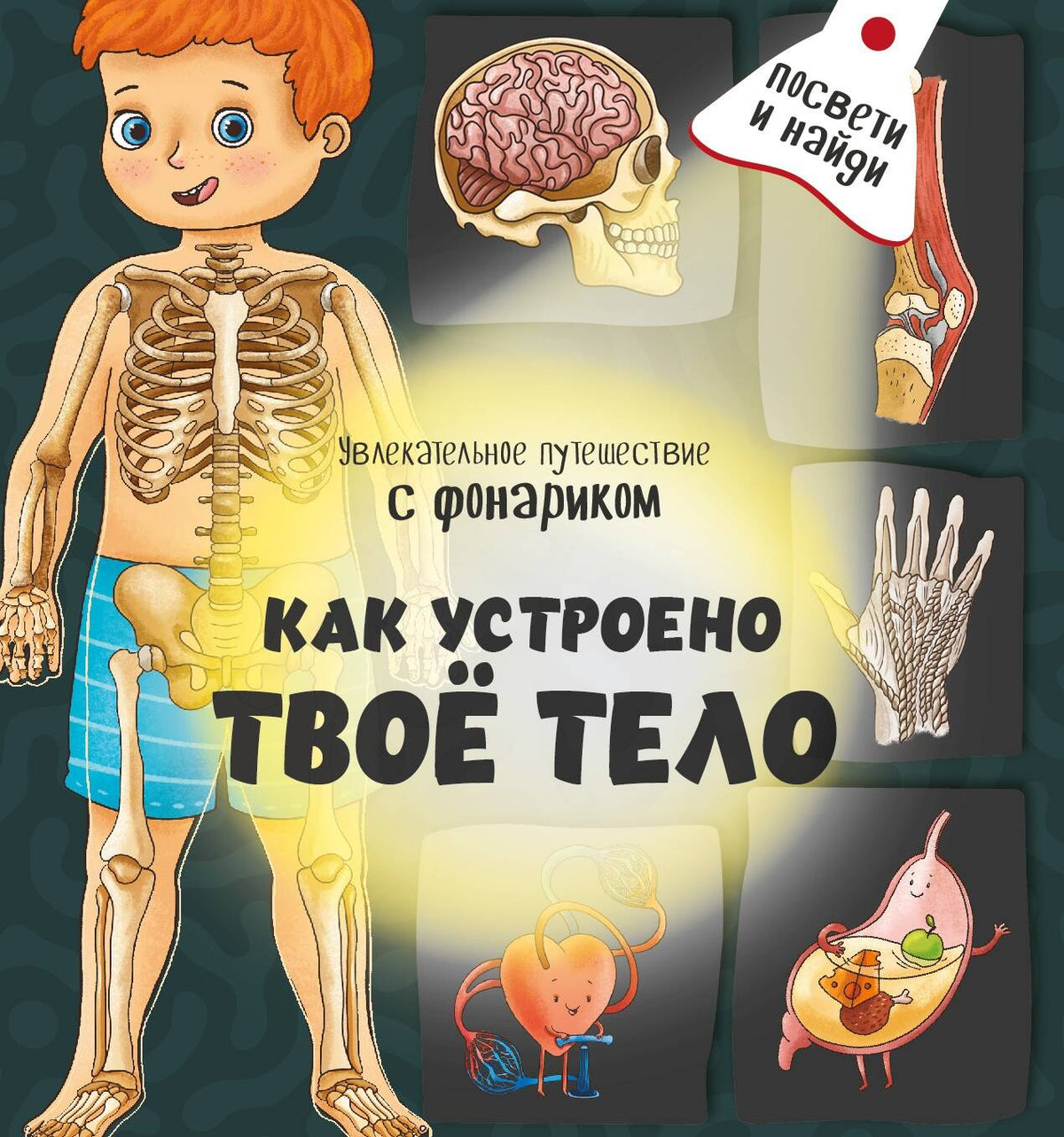 Книжка с фонариком "Как устроено твое тело"
