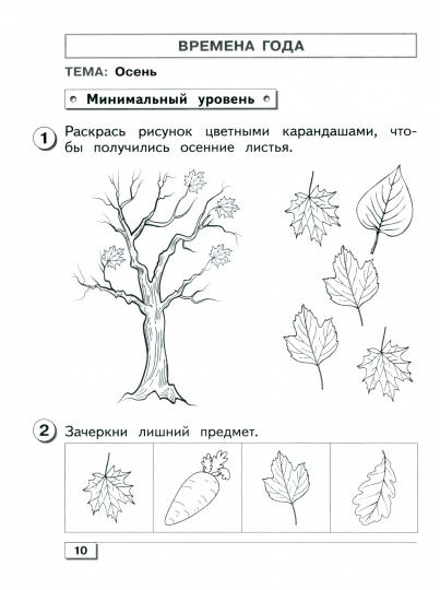 Мир природы и человека. 1 кл. Проверочные работы (для обучающихся с интеллектуальными нарушениями)