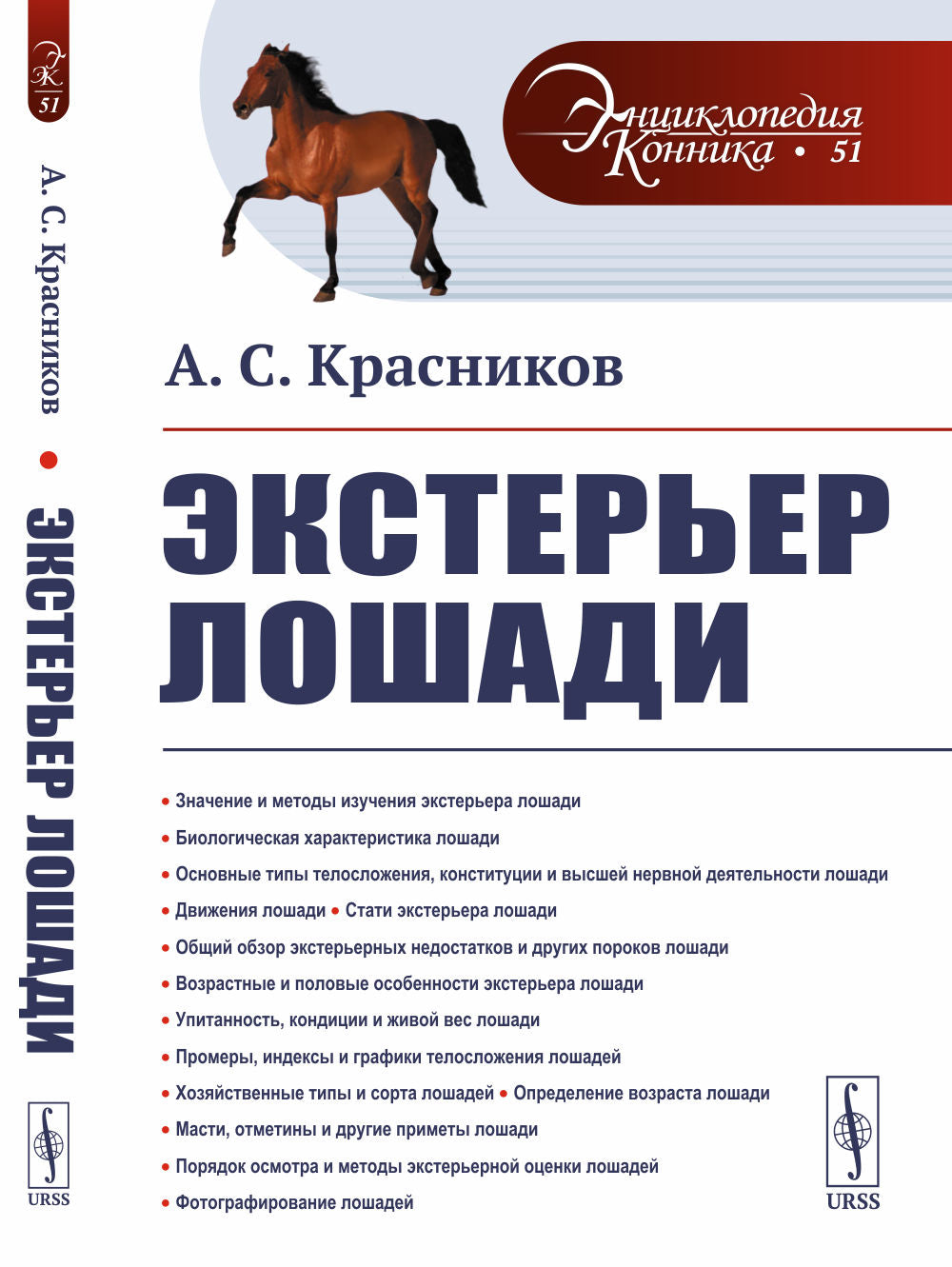 Экстерьер лошади