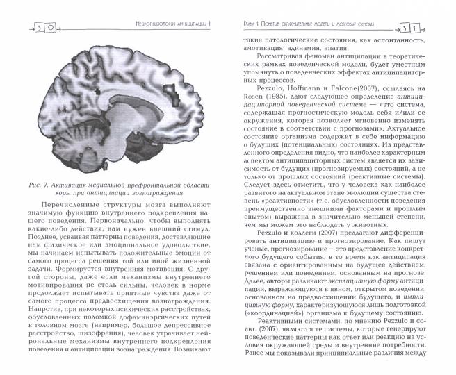 Нейропсихология антиципации-1. Мозговые основы. Роль в структуре психики и поведения. Методика исследования: монография