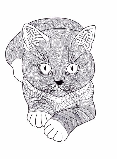Cats7. Очаровательные котята. Творческая раскраска