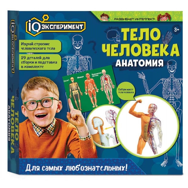 Игрушка опыты тело человека IQ Эксперимент в кор.2*48шт