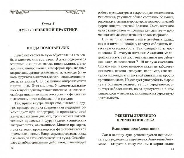 Лук. Мифы и реальность
