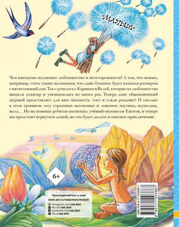 Необыкновенные приключения Карика и Вали