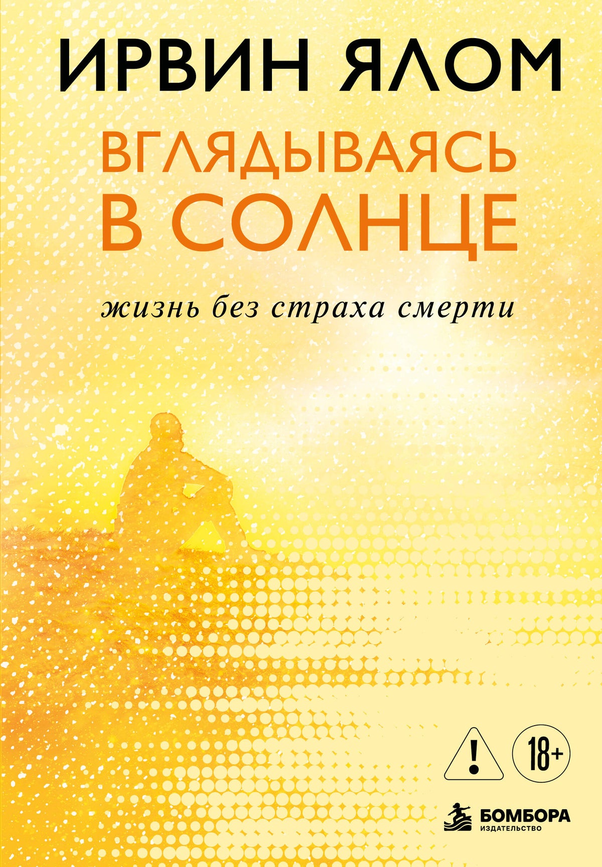 Вглядываясь в солнце. Жизнь без страха смерти