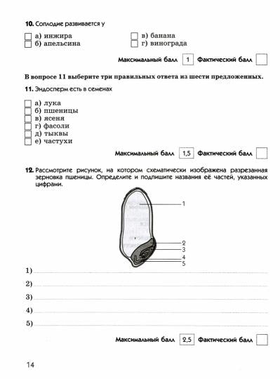 Биология. Диагностические работы к учебнику В.В. Пасечника. 6 класс. Биология. 6 класс. Рабочая тетрадь (диагностические работы).