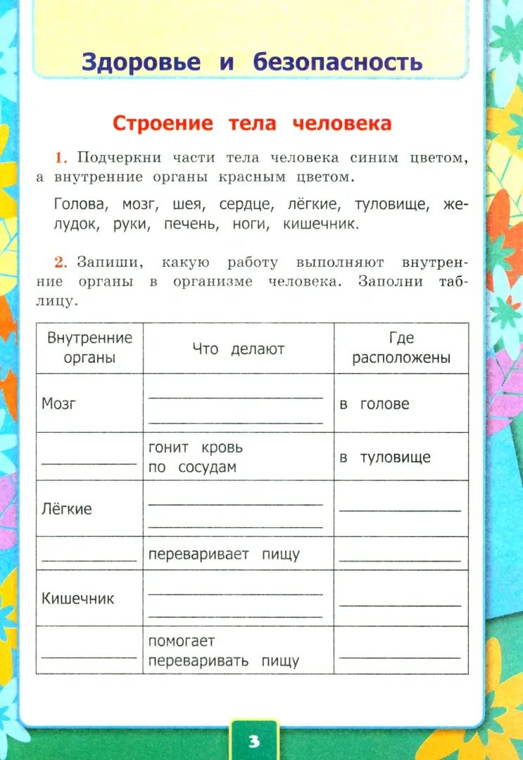 Соколова. Окружающий мир 2 класс. Рабочая тетрадь №2 к учебнику Плешакова