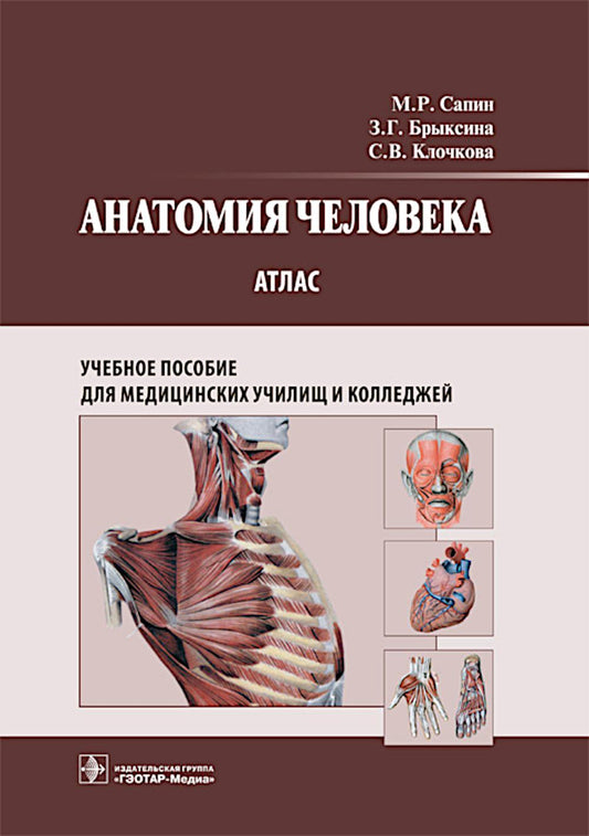 Анатомия человека : атлас : учебное пособие / М. Р. Сапин, З. Г. Брыксина, С. В. Клочкова. — Москва : ГЭОТАР-Медиа, 2025. – 376 с. : ил.