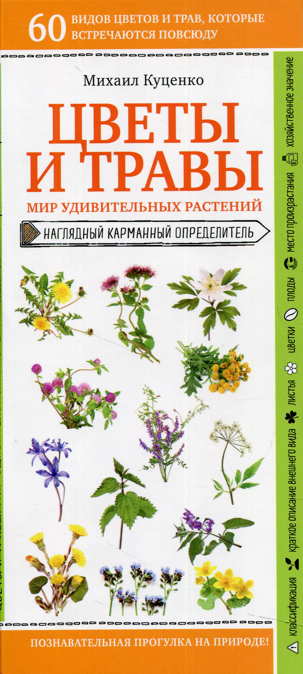 Цветы и травы. Мир удивительных растений
