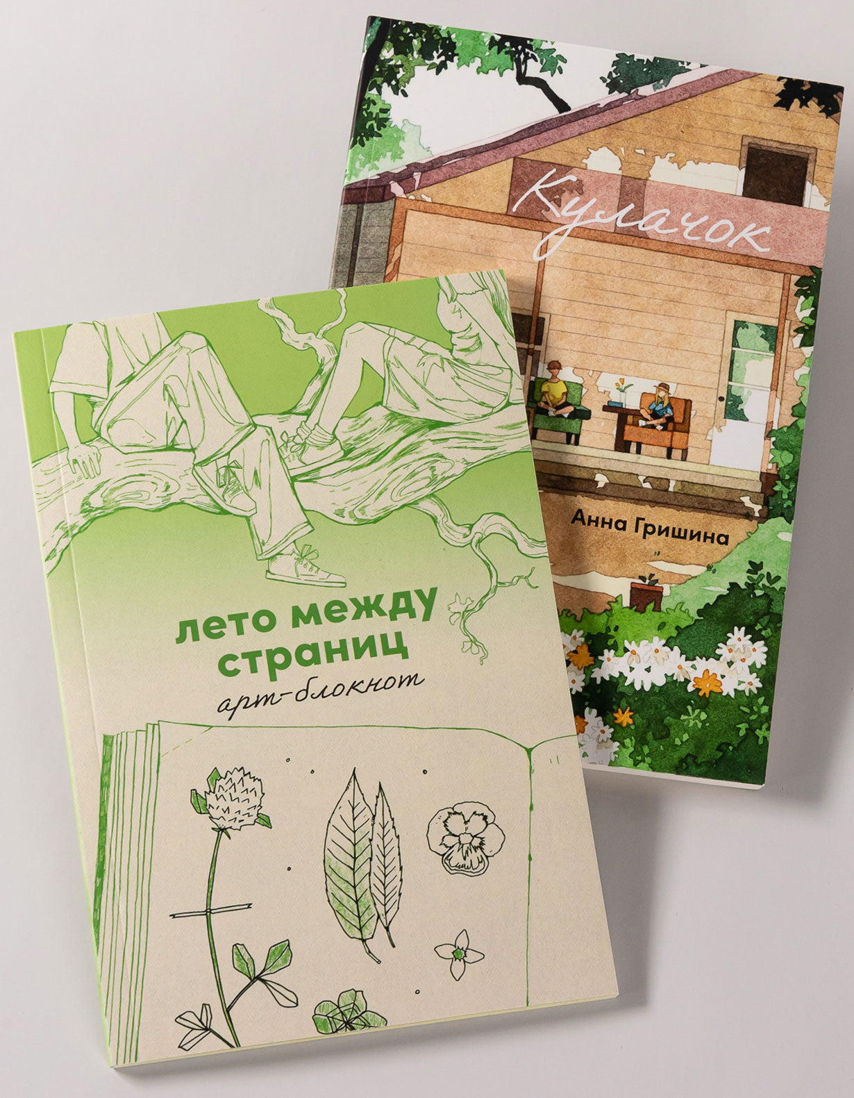 Комплект "Летние воспоминания". В 2 кн