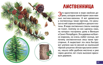 Карточки (европодвес). Деревья; Карточки (европодвес). Деревья