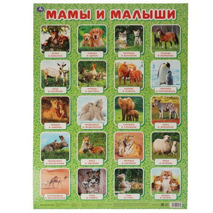 Мамы и малыши. Плакат А2. Умка уп-10шт в кор.5уп