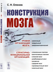 Конструкция мозга