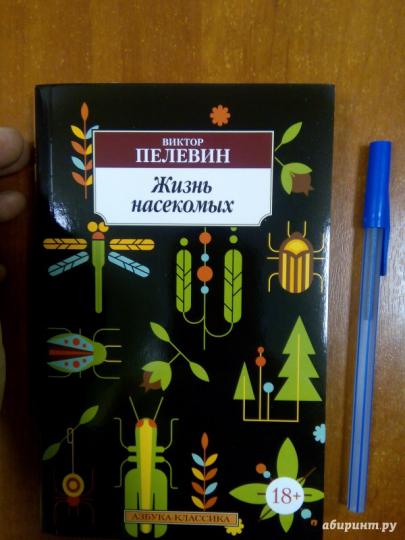 Жизнь насекомых