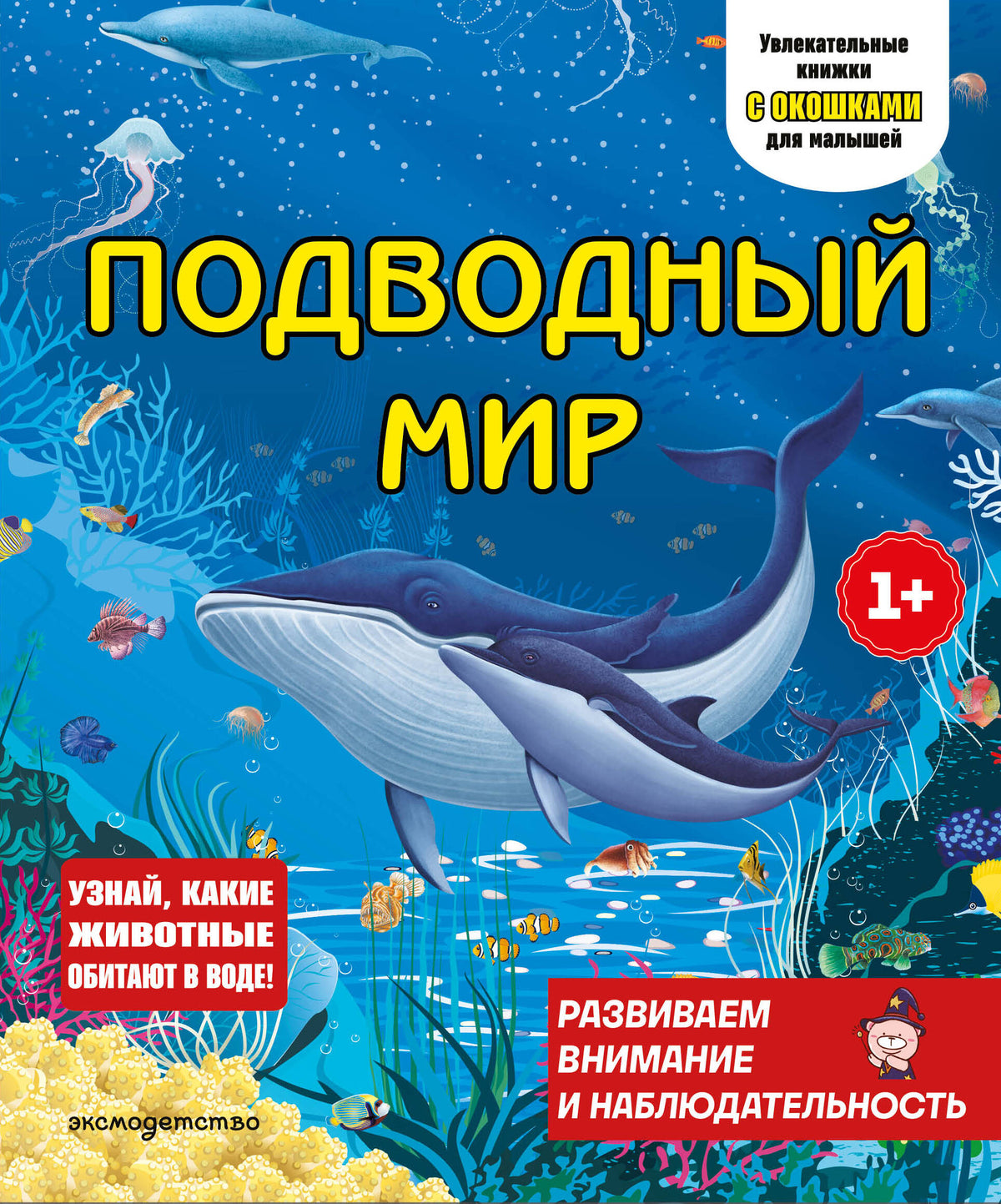 Подводный мир