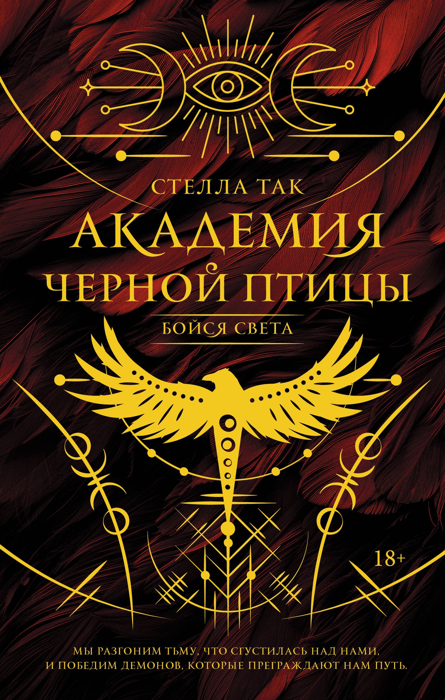Академия Черной птицы. Бойся света