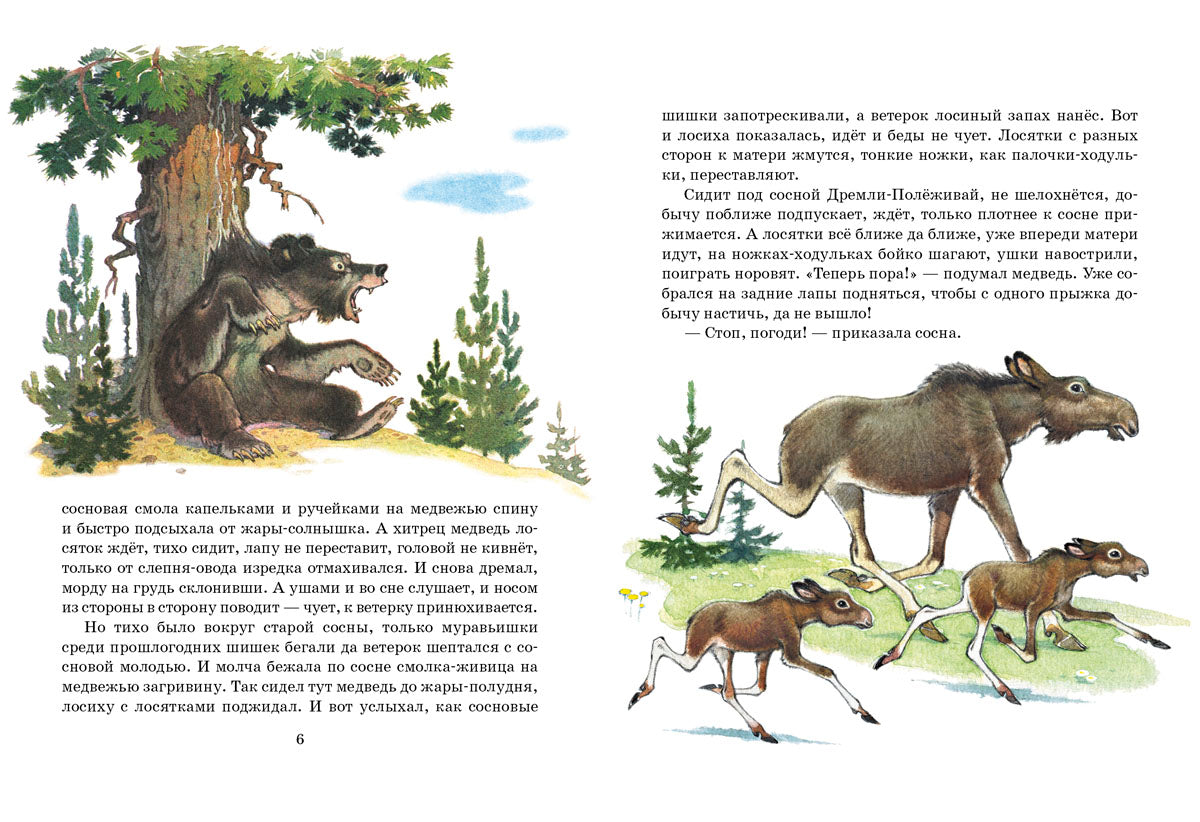 Как сосна лосяток спасала
