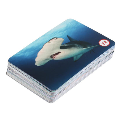 МОРСКИЕ ЖИВОТНЫЕ. КАРТОЧНАЯ ИГРА МЕМО. (50 КАРТОЧЕК). КОР.: 125Х170Х40ММ, КАРТОЧКИ 65Х95ММ в кор50шт
